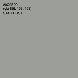 #9C9E99 - Star Dust Color Image